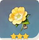 冒险家