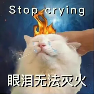 诛仙,队友,人中