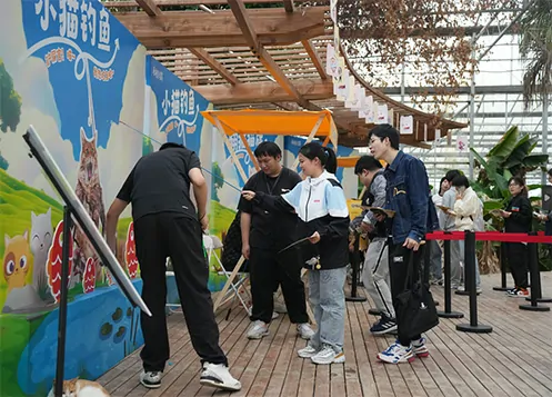 游戏