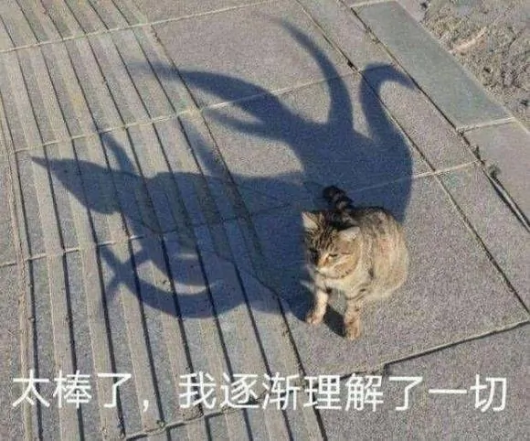 明末渊虚之羽,专升本,女大学生,真稳
