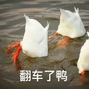 逆水寒,老家,NPC,逆水寒