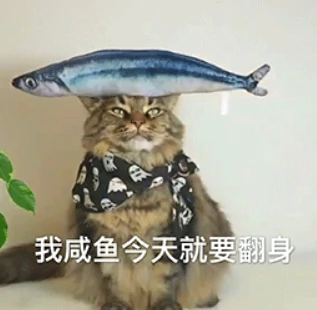 逆袭,国产,米哈游,鸣潮,绝区零,二次元,燕云十六声