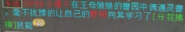 太幸运！大话西游2玩家盘点数月来领悟的技能 