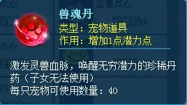 逍遥情缘,回合游戏,回合网游