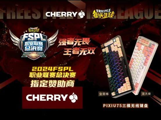 王者无双！CHERRY赞助2024FSPL职业联赛总决赛 