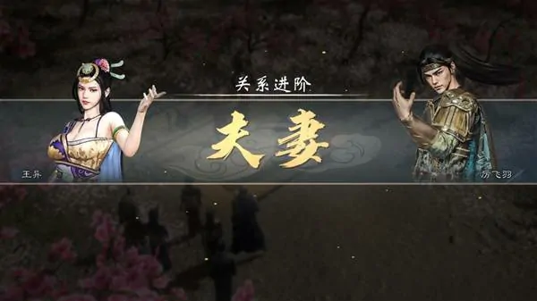 英雄立志传三国志,结婚,比武大会