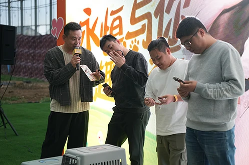 游戏
