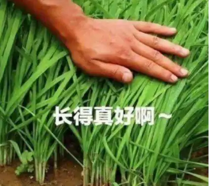 诛仙2,仙侠游戏,UE4引擎,无缝地图,DIY系统,AI技术,华为HarmonyOS,端云协同,光线追踪,低配高能