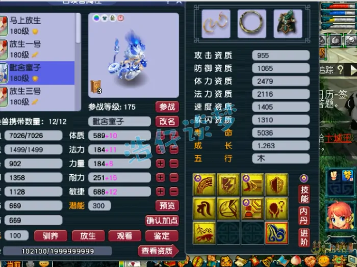 梦幻西游,凌波城,抗封装备,梦幻西游