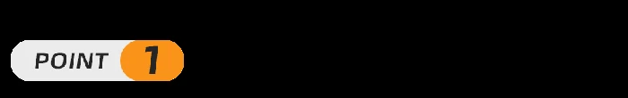 宝可梦,宝可梦大集结