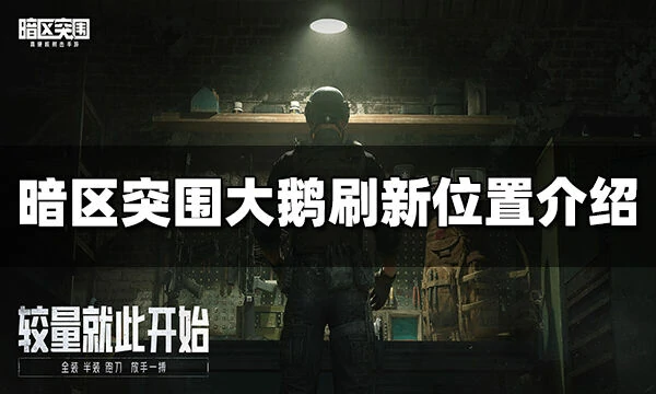 暗区突围大鹅刷新点全曝光