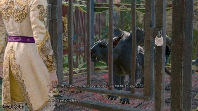 博德之门3寻找小丑德里波斯,博德之门3寻找小丑德里波斯任务攻略,博德之门3寻找小丑德里波斯任务怎么做