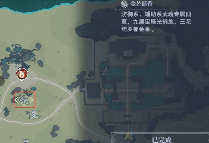 斗罗,大陆,猎魂,世界,8个,仙草,位置,大全,
