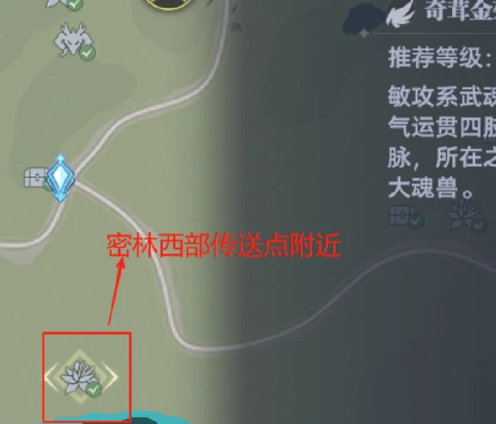 斗罗,大陆,猎魂,世界,8个,仙草,位置,大全,