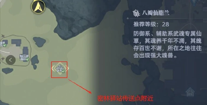 斗罗,大陆,猎魂,世界,8个,仙草,位置,大全,