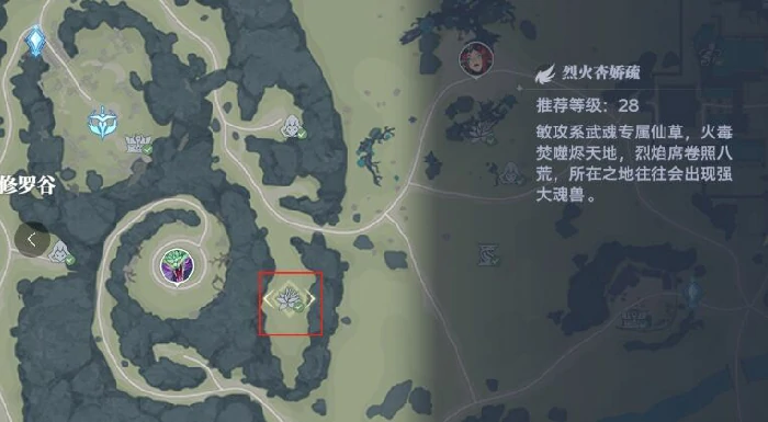 斗罗,大陆,猎魂,世界,8个,仙草,位置,大全,
