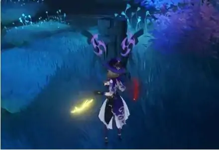 稻妻狸猫在哪里,原神