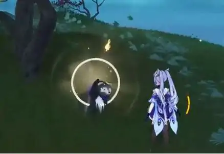 稻妻狸猫在哪里,原神
