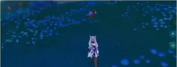 稻妻狸猫在哪里,原神