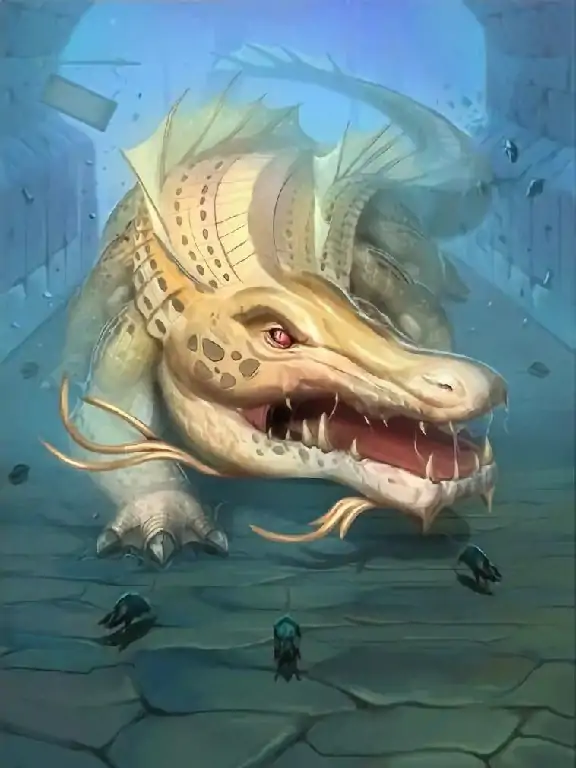 跳蛙流随从与站位怎么选