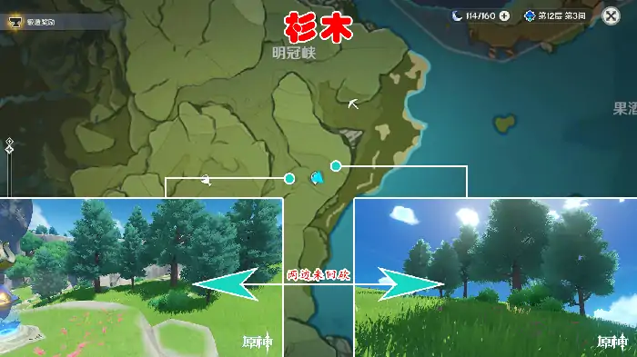 原神杉木高效采集点 快速获取木材攻略