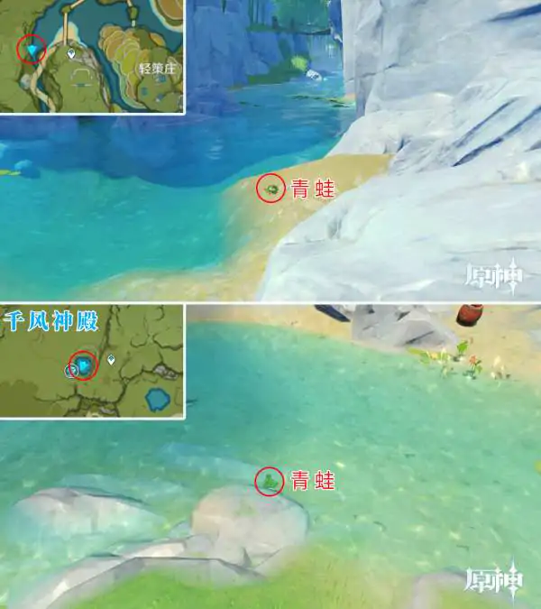 原神青蛙捕捉地点大全