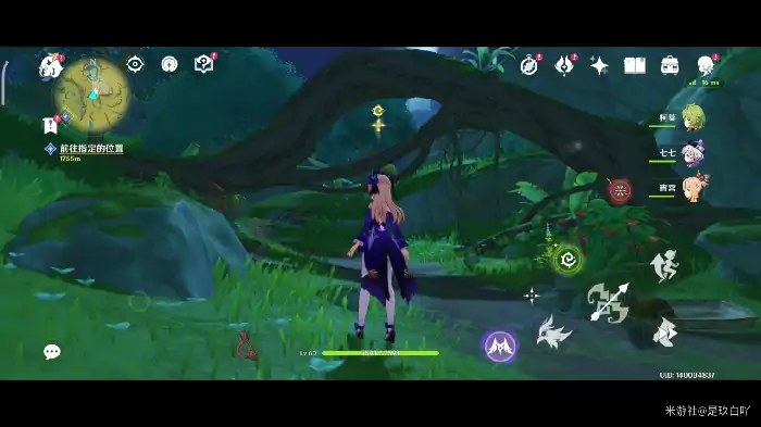 原神护世森神瞳在哪,原神