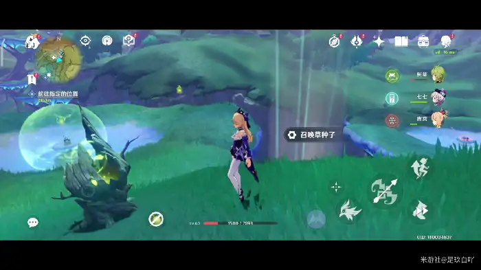 原神护世森神瞳在哪,原神