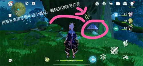 原神水天丛林树上的符号怎么解密,原神