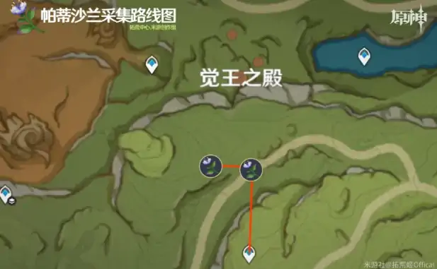 妮露突破材料全收集