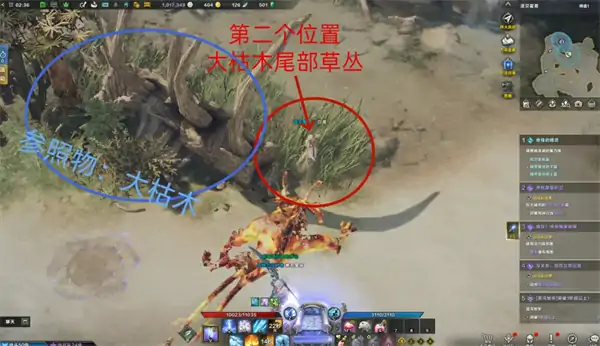 跟踪寻找独家新闻怎么做,命运方舟