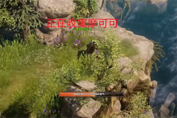 鲸鱼岛摩可可在哪,命运方舟