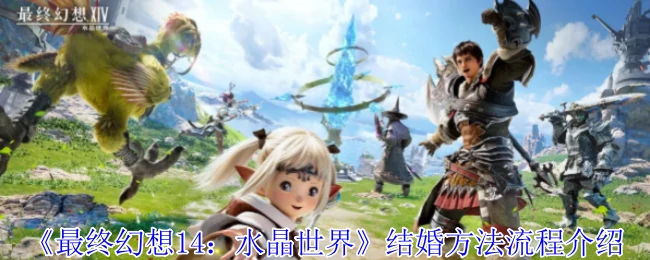 FF14浪漫婚礼指南：从求婚到蜜月的完整攻略
