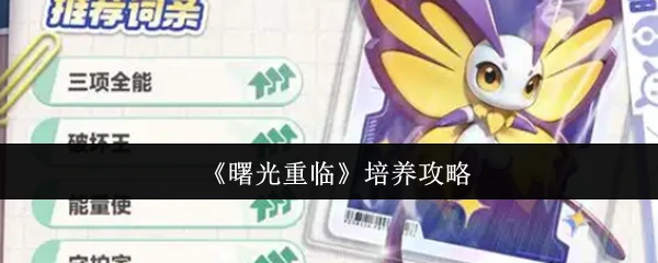 曙光重临高效培养指南：快速提升战力秘籍