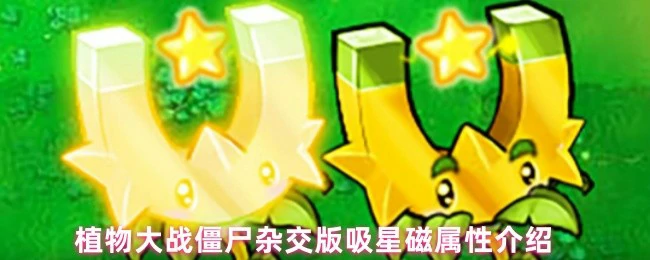 植物大战僵尸杂交版吸星磁技能全解析