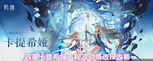鸣潮卡提希娅最强声骸搭配 词条选择一图流攻略