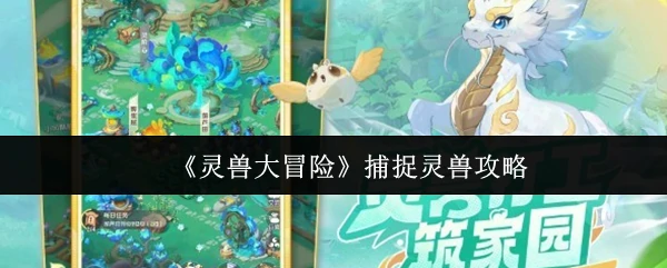 灵兽捕捉秘籍：新手必看的高效攻略