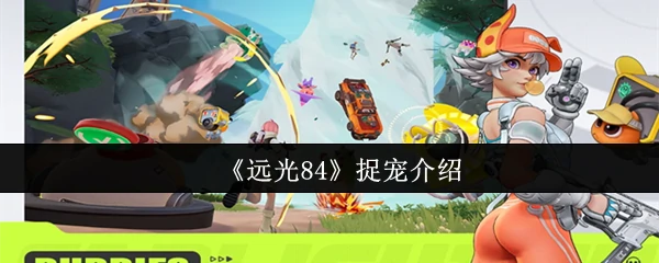 远光84抓宠攻略：轻松捕获稀有精灵技巧