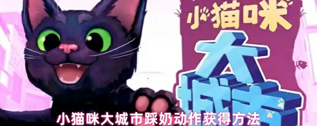 小猫咪踩奶秘诀轻松get