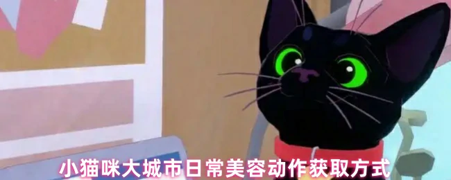 小猫咪美容秘诀大公开 轻松get精致日常