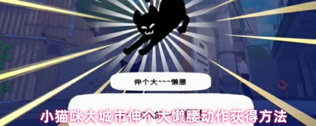 小猫咪大城市伸懒腰技巧 轻松get萌宠同款姿势
