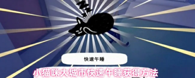都市猫咪秒睡秘诀 快速充电小技巧