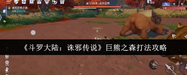 巨熊之森速通秘籍