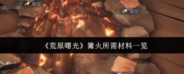 荒野求生必备：篝火材料清单大全