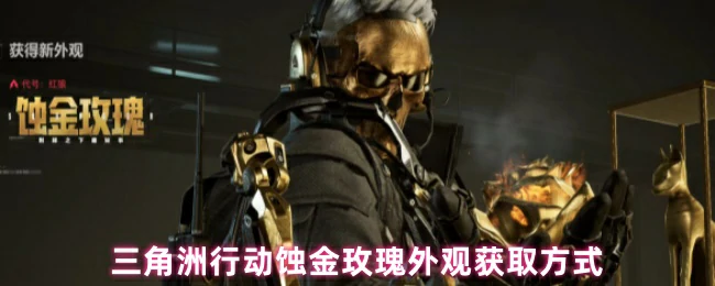 蚀金玫瑰绝版皮肤限时获取攻略 轻松解锁稀有外观