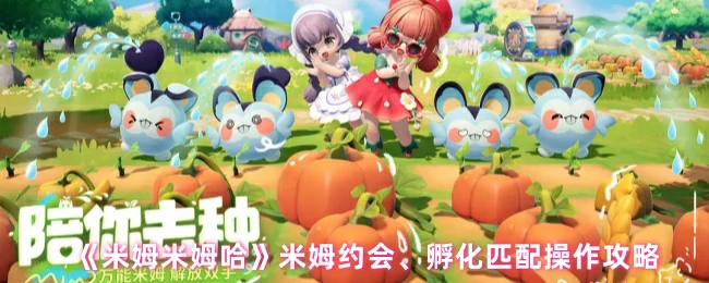 约会孵化指南：高效匹配操作全攻略