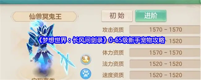 新手必看！0-65级最强宠物培养指南