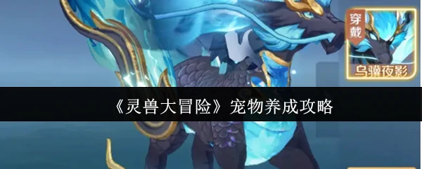 灵兽大冒险终极养成指南