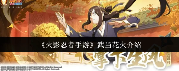 武当花火秘术全解析 最强体术忍者实战攻略