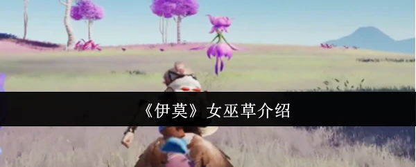 神秘伊莫女巫草：古老灵药的现代魔力